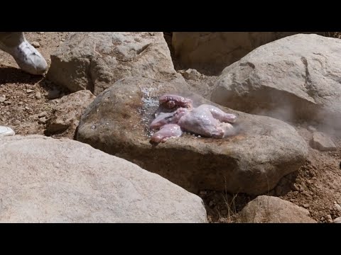 Vegas Vacation (1997) Cousin Eddie's House