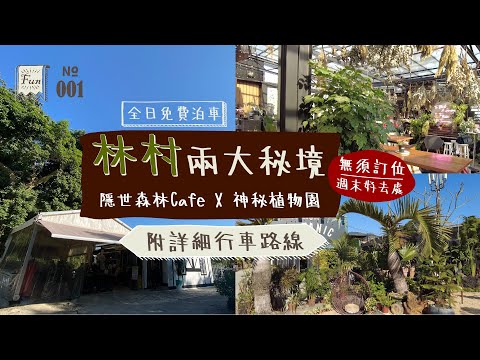 #香港好去處  林村兩大秘境🌳隱世森林CafeX神秘仙人掌園🌵 玩足一日免費泊車🚗！(附詳細駕駛路線)  #中文字幕