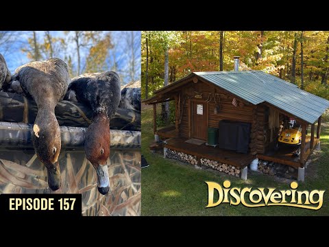 DISCOVERING | Trapper's Cabin, 906 Predator Lures, Store Safely, Diver Duck Hunt