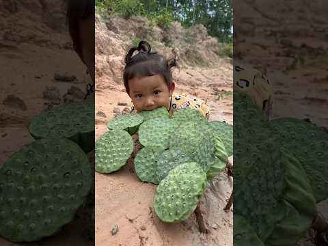 Survival Skills: Lotus Seed Skills in Forest #survival #lotus #bushcraft #viralvideo #outdoors