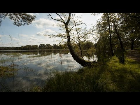 Trailer | Een jaar lang Leersumse Veld