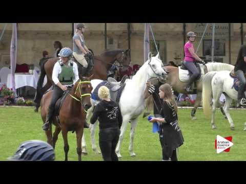 Strohen 2016 - Endurance Prize Ceremony