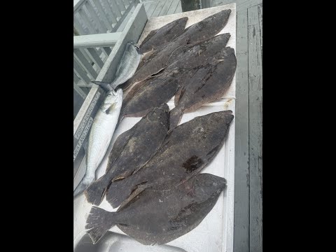 Long Island South Shore Ocean Fluke Fishing - Hot Bite!  Keeper Record for the Boat!