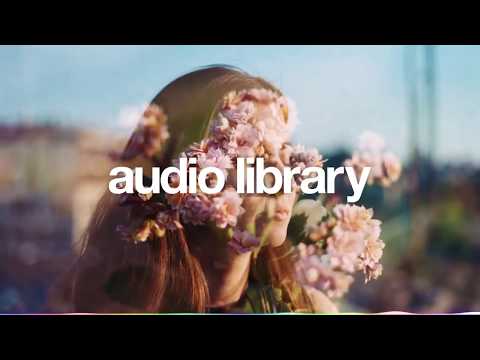 [No Copyright Music] Endless Summer - extenz