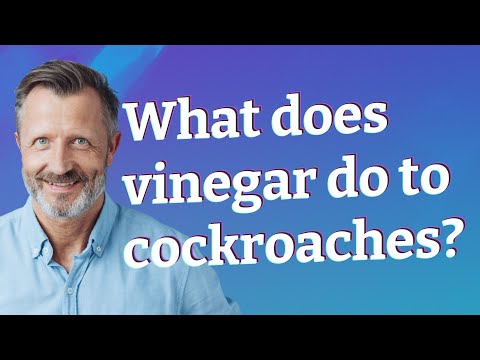 Does Febreze Kill Roaches