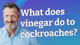 What does vinegar do to cockroaches?