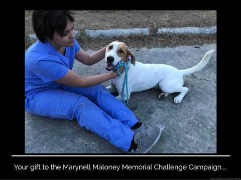 2018 Marynell Maloney Memorial Challenge Campaign