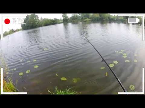 ATAK SZCZUPAKA PRAWIE POD NOGAMI - Trailer "Szczupakowa Majówka 2018"