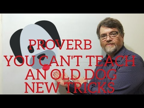 English Tutor Nick P Proverbs (80) You Can't Teach an Old Dog New Tricks