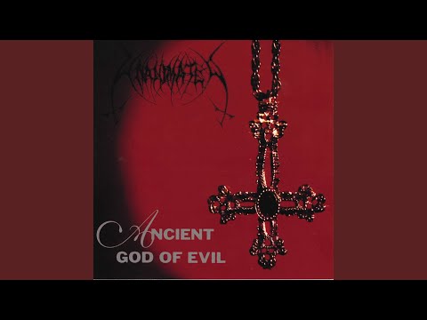 Eye Of The Greyhound