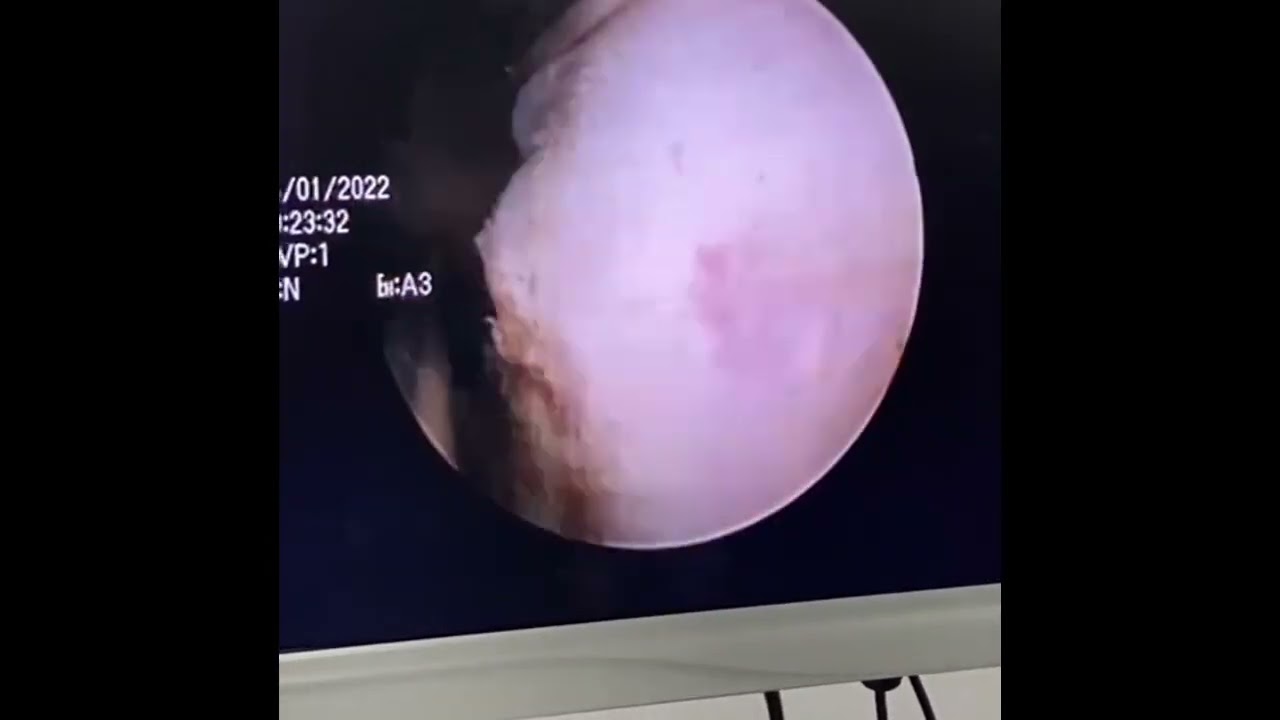 Alejandro Soto Palomares-8