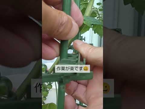 pots-extérieurs-résine-simili-pierre-noire-alternative-jardinière-bois