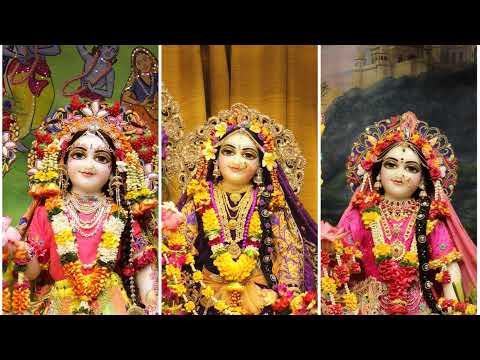 Srimad Bhagavatam 3.30.1 | Mahasundari Radha devi dasi