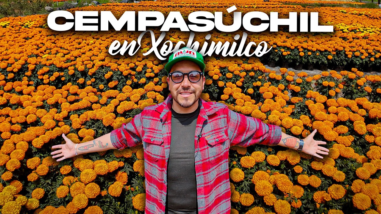 CEMPASÚCHIL en XOCHIMILCO: La TRADICIÓN VIVA del DÍA de MUERTOS 🌼💀