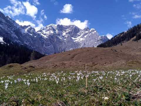 Erste Sinfonie IN DER NATUR Satz 4
