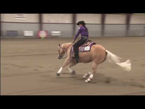 Pale Conquistador & Nicole Renick  04-10-2021 WRHA Open Maturity