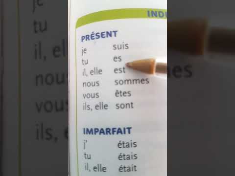 the verb to be in the present indicative