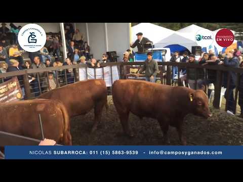 Cabaña Santa Maria - Campos y Ganados S.A.