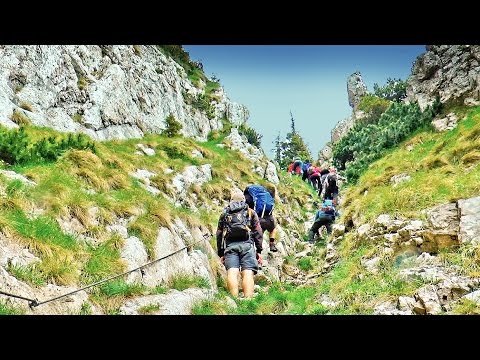 Piatra Craiului - Valea Crăpăturii, Padina Hotarului
