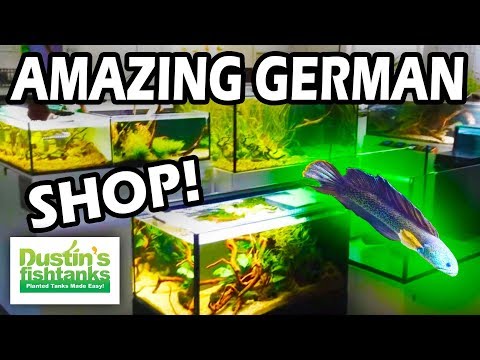 Amazing Aquarium Store in Germany! Come take a tour Video