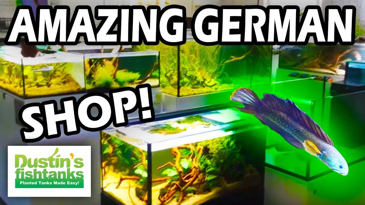 Amazing Aquarium Store in Germany! Come take a tour