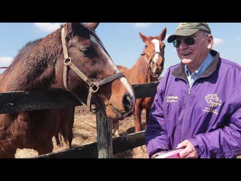 Old Friends Virtual Tour - Classy Charm & Saudi Poetry