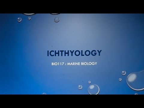Week 3: Ichthyology