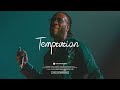 FREE Burna Boy X Wizkid X Afroswing Type Beat 2023 Temptation Afrobeat Instrumental