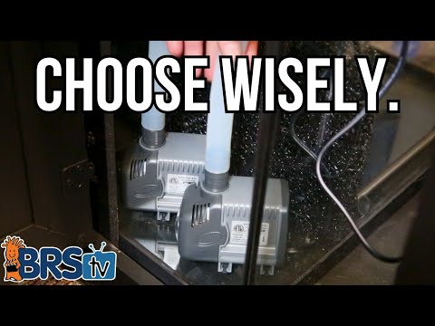 How to Choose the Right Return Pump for Your Reef Tank