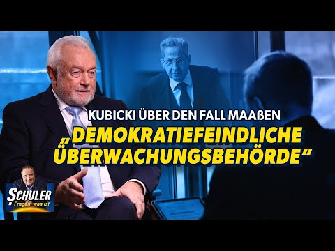 Kubicki über den Fall Maaßen: „Demokratiefeindliche Überwachungsbehörde“