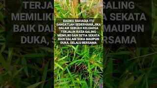 Download lagu bahagia itu sederhana, kata-kata motivasi #shrots mp3 Download lagu bahagia itu sederhana, kata-kata motivasi #shrots mp3