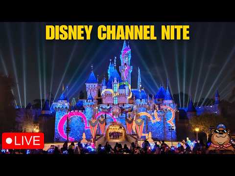 Live webcam of Koda Bear the Explorer 