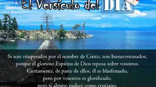 Miniatura del video: El versiculo del dia .com - 1 Pedro 4 v14y16