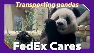 FedEx Behind the Magic of how FedEx Transports Pandas