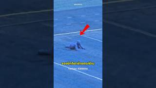 Video thumbnail image