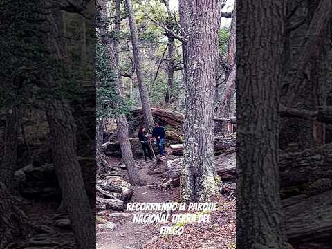 Parque Nacional Tierra del Fuego 🌈🌈
