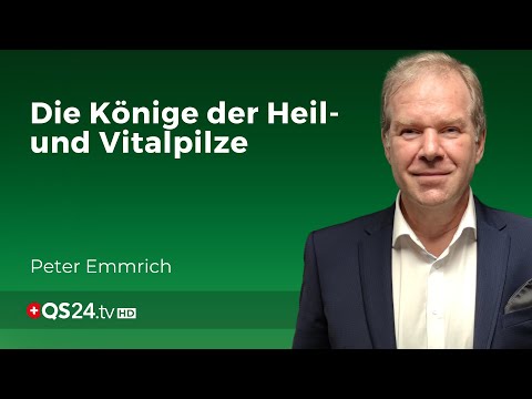 Chaga and Shiitake: The Two Kings of Mushrooms? | Specialist Peter Emmrich | Natural Medicine | QS24