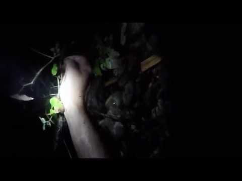 SUPER SATAN - house of rage (Donnybrook) OFFICIAL VIDEO