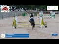 Hongre poney C – 10 ans – 1,36 m – CCE/CSO – Club Élite