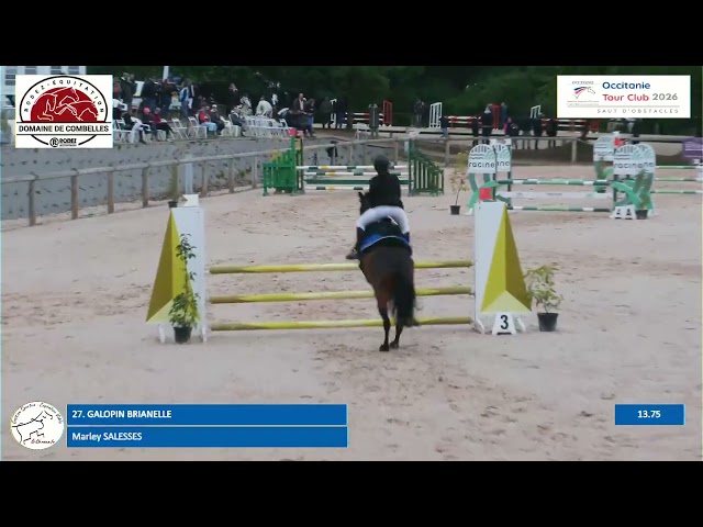 Hongre poney C &ndash; 10 ans &ndash; 1,36 m &ndash; CCE/CSO &ndash; Club &Eacute;lite