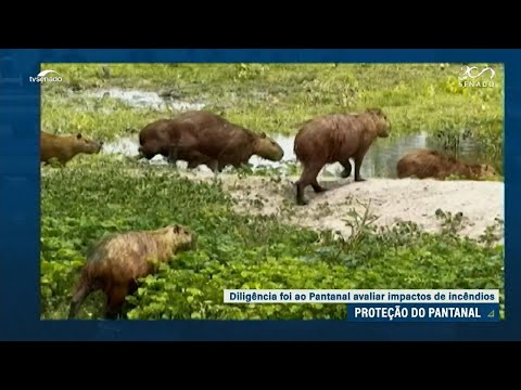 Comissão cobra mais investimentos para o Pantanal antes da próxima estiagem