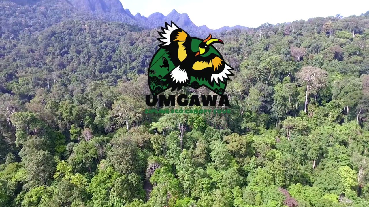 Experience adventure and fun with obstacle courses at Umgawa Legendary Adventures!