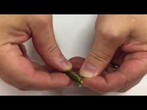 Värikoukun asennus tasurin alle