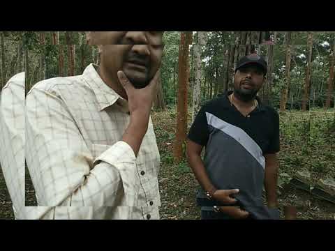 Jishnu's food & travel...