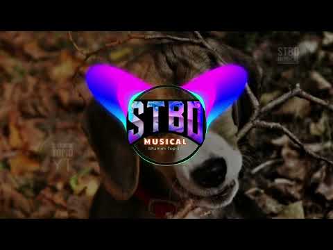 Sak Noel & Happy Colors - Pasiando La Perra [Remix]