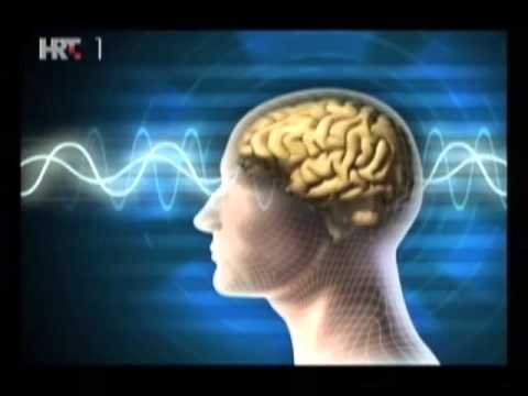 Abeceda zdravlja: Multipla skleroza