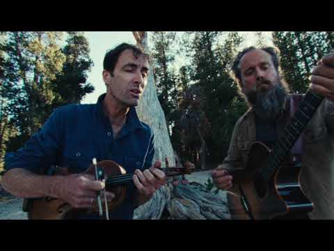 Andrew Bird Performs 'Manifest' & 'Fixed Positions' Live from Yosemite National Park