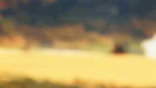 Matt Corby - Runaway (cover)