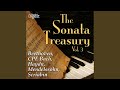 Piano Sonata No. 7 In D Major, Op. 10 No. 3: II. Largo e mesto