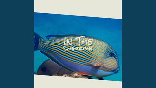 Who Will Buy The Wine